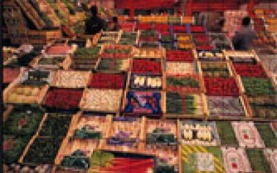 Visite des Halles de Rungis